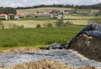 Salto tiene concentraci�n parcelaria desde hace m�s de 50 a�os. 