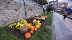 Cabazas na Praza do Concello, ao p do consistorio