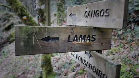 Las rutas de senderismo por la naturaleza son una opcin en Ribeira de Piqun.