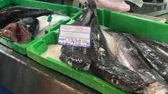 Imagen de archivo de merluza fresca de A Mari�a en una pescader�a de la plaza de Viveiro