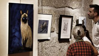 El p�blico observa detalles de la exposici�n �Mil vidas tiene un gato�, en la galer�a Visol.