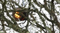 Destruccion de un nido de velutina mediante el m�todo de cremaci�n