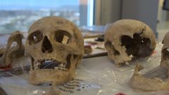 Muestras de la familia de Crist�bal Col�n que ser�n sometidas a un an�lisis de ADN en la Universidad de Granada