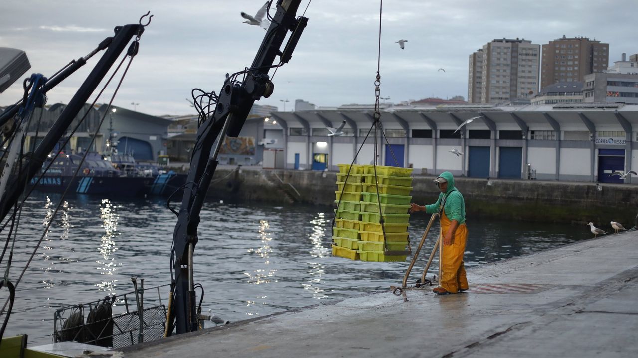Los sectores de la pesca y el naval facturan en A Coruña y su área 1.500 millones de euros