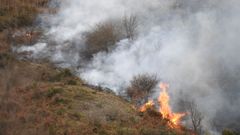 Incendio forestal