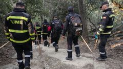 La UME participa en las tareas para buscar ms jabales afectados por la peste procina en Catalua
