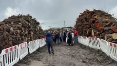 Los vecinos de la Plataforma Vigo verde/Salvemos a Barroca celebraron un funeral por la desaparici�n del bosque de A G�ndara, en San Paio de Navia