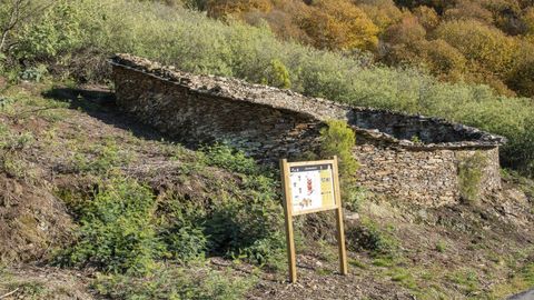 La alvariza de Bustelo de Fisteus, cedida al Ayuntamiento de Quiroga, fue limpiada de la vegetacin que la tapaba parcialmente. La primera intervencin se hizo en el 2018 y fue seguida de otras 