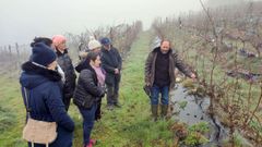 Los asistentes al plan de formaci�n, visitando unos terrenos de Portomar�n.