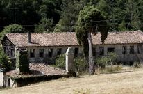Vista de la f�brica de papel de Rod�s, con el �rbol del incienso consustancial a su imagen.