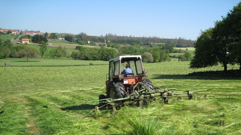 Tractor cortando hierba en una foto de archivo