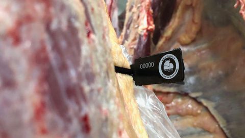 Certificaci�n de las dos primeras�piezas de Vacuno Mayor