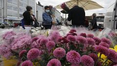 Venta de flores para Difuntos y Todos los Santos en el mercado semanal de los jueves, en Viveiro, en los jardines Noriega Varela