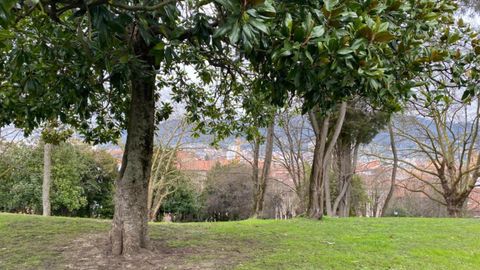 Vegetacin de los Jardines de La Rodriga