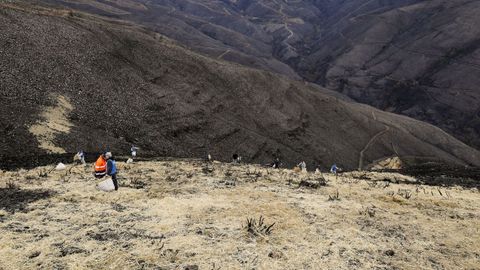 Voluntarios protegen los montes afectados por los incendios forestales en Vilamart�n de Valdeorras
