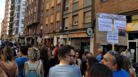 Manifestacin antitaurina en Gijn