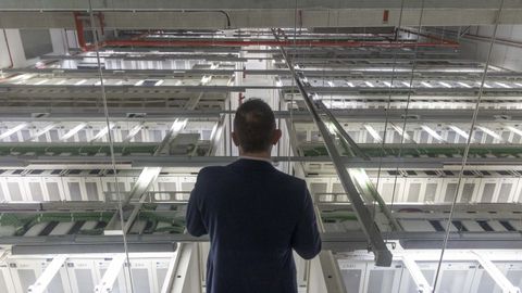 Instalaci�n de decenas de servidores nun centro de datos.