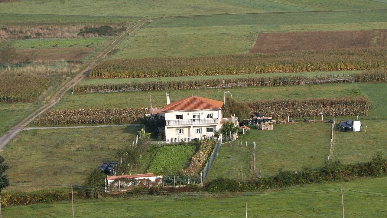 En torno a la envidia y el caso de los marcos gallegos