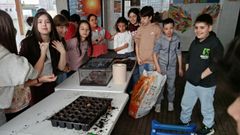 Os estudantes plantaron en sementeiras de diversas especies de �rbores aut�ctonas