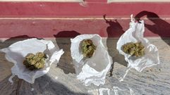 La marihuana incautada en O Barco de Valdeorras