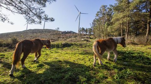 Un parque elico de Naturgy en Galicia
