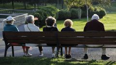Las personas mayores presentan menos niveles de taurina