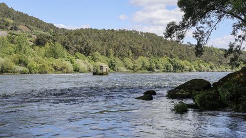 Molino fluvial en el río Miño, a la altura de Untes.