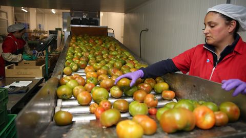 La jornada quiere ayudar a las cooperativas hortcolas gallegas mejorar su digitalizacin