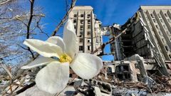 flores en Mykolaiv, junto a sede de la administraci�n regional destruido en un bombardeo