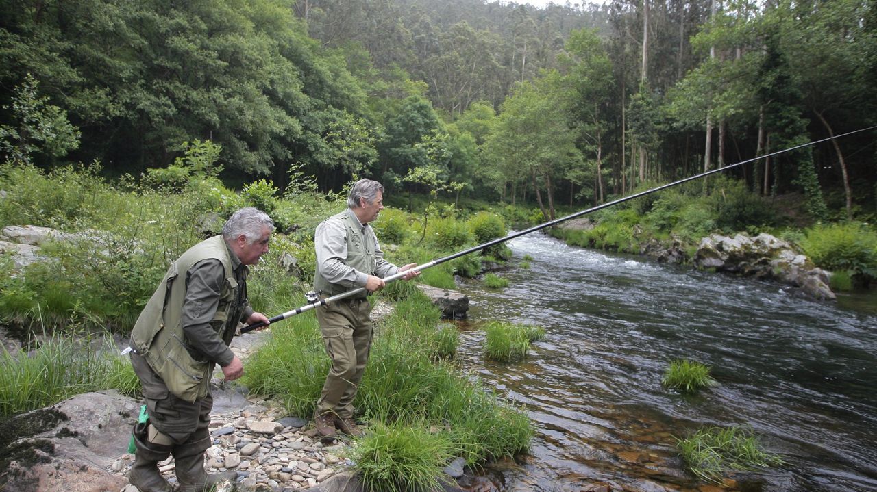 Una semana sin campanu y un debate muy vivo