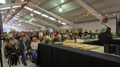 Última edición de la Feira do Mel en Narón