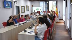 El pleno de Ames aprob� por unanimidad la concesi�n de la medalla del Concello a As Maianas