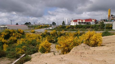 Imagen de archivo del parque empresarial de A Uceira en O Carballio 