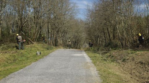 En este monte de Baos de Molgas, que ardi en el ao 2017, una cuadrilla de la BRIF de Laza realiza labores de desbroce para ampliar la zona de control en caso de incendio.