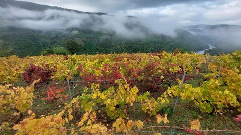 Paisaje otoal en la parte alta de la ribera de O Eivedo, una de las tres de Vilach