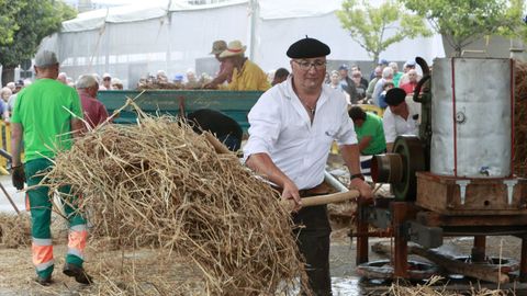 Meira acoger este fin de semana su tradicional Festa da Malla