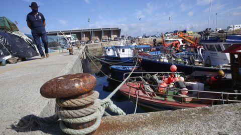 Barcos de bajura y alg�n bateeiro en el puerto de O Grove, hace unos dias