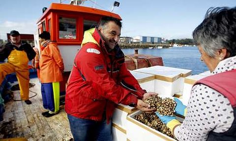 Preparativos de los trabajos de siembra de almeja ayer, en el puerto de O Xufre. 