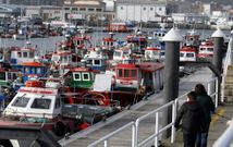 Los barcos de artes menores tendr�n vedada la captura de caballa hasta el 23 de marzo. 