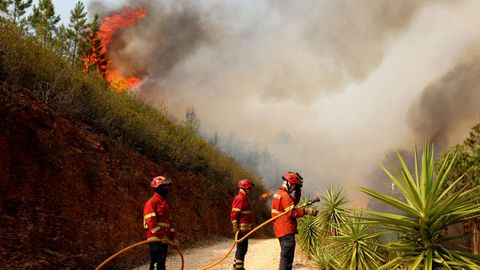 Las llamas han quemado m�s de 21.000 hect�reas 