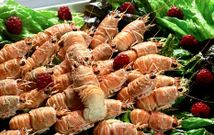 La langostilla es una de las especies que los armadores quieren introducir en los mercados