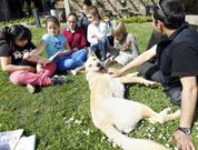 Clau y Mino compartieron la sesi�n de lectura con los ni�os en Cambados. 