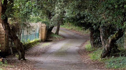  Inmediaciones de la casa de concejal de IU en Llanes, Javier Ardines, de 52 aos cuyo cadver fue hallado ayer con varios golpes en la cabeza a unos 300 metros de la misma