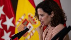La presidenta de la Comunidad de Madrid, Isabel Daz Ayuso, durante una rueda de prensa posterior a la reunin del Consejo de Gobierno.