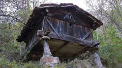 H�rreo beyusco, de Faela, en Ponga