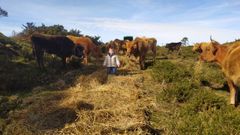 El pequeo Sal, con las vacas que su padre, scar Brin, cuida en el monte Iroite.