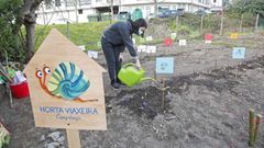 En la �horta viaxeira� del Gafos de la ANPA del colegio de Campolongo participan doce clases este curso.
