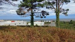 Parcela donde se ubicar� la nueva nave de venta y reparaci�n de maquinaria forestal, anexa al pol�gono de Fazouro