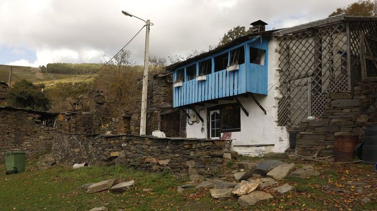 «As Bestas», la historia real del crimen de Petín que ha arrasado en ...