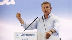 El presidente del PP, Alberto N��ez Feijoo, interviene en la clausura del congreso  el PP de Catalu�a, celebrado en Barcelona.